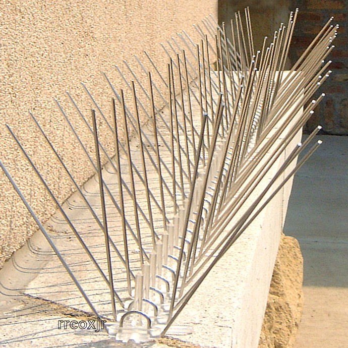 spike strips in Home & Garden