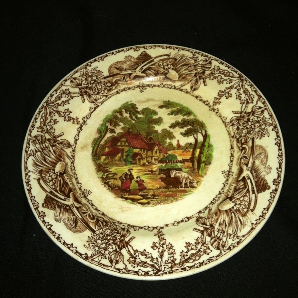   & China  China & Dinnerware  Royal Staffordshire/Wilkinson