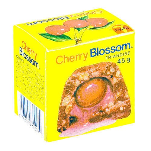 cherry blossom chocolate