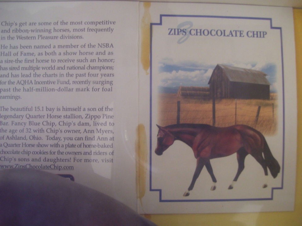 NIB Breyer Horse Zips Chocolate Chip LE 2003