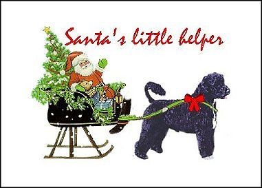 Portuguese Water Dog Christmas cards seal address label