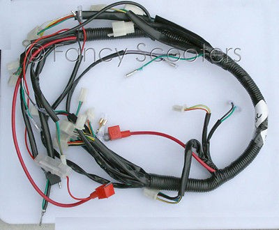 Kid Utility Hummer Style ATV TPATV516/CPSC Wireharness for ATV 110cc