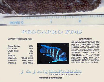 african cichlids in Aquarium & Fish