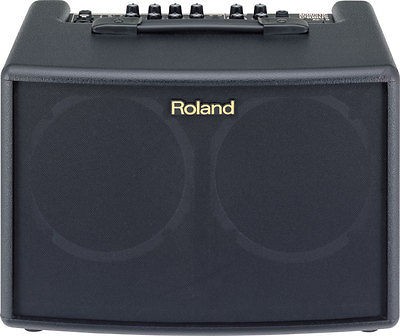 Roland AC60 Acoustic Chorus Guitar Amplifier