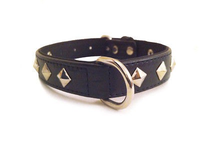studded dog collars in Spiked & Studded Collars