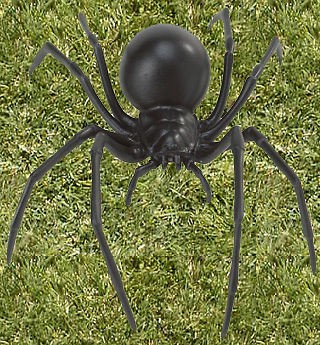 SAFARI BLACK WIDOW SPIDER Collectors Best