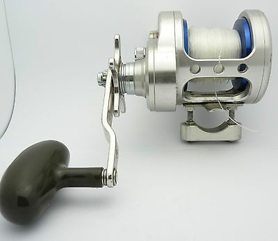 daiwa saltiga in Reels