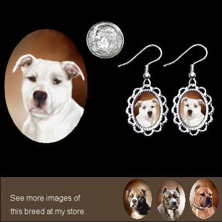 pitbull jewelry in Jewelry & Watches