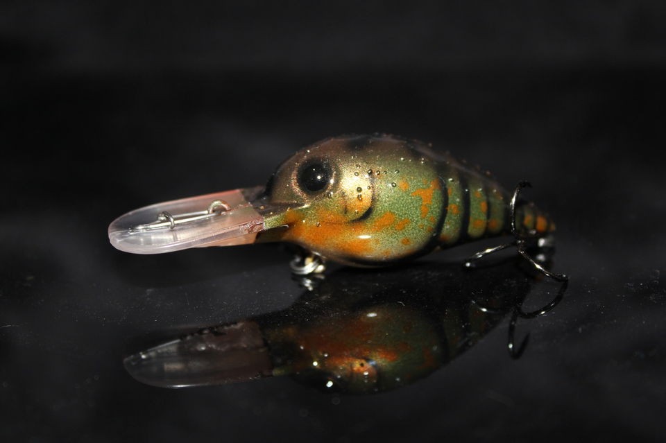 New Custom Painted Storm Original Wiggle Wart Crankbait Lure