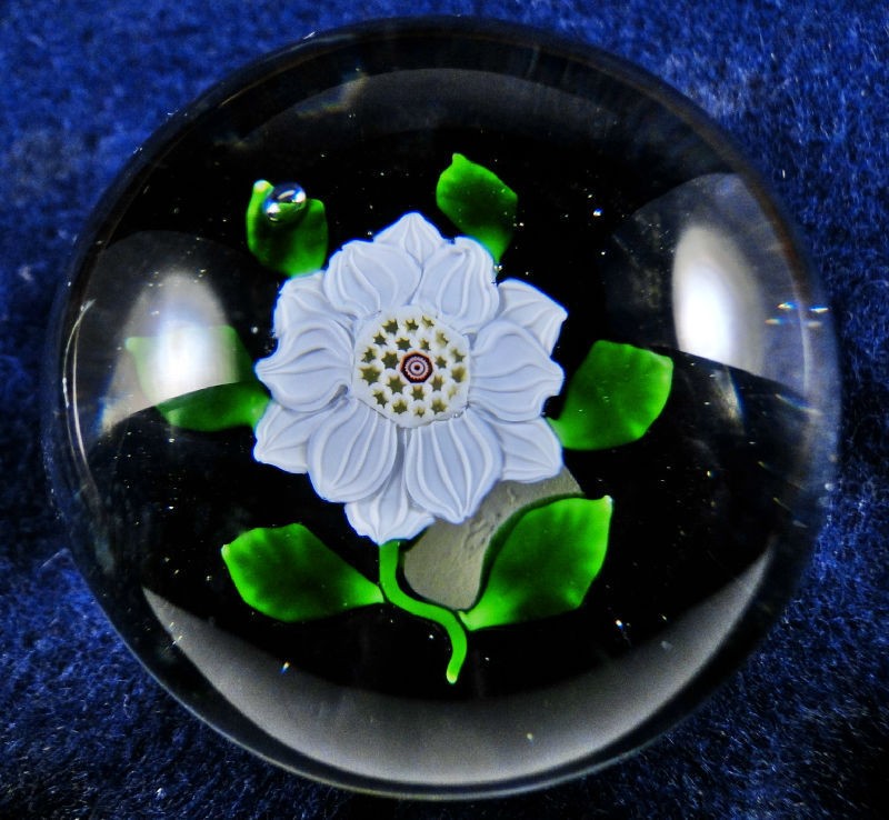 PW108) Baccarat Antique Clematis Paperweight