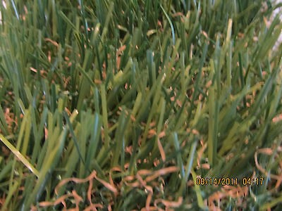 AWESOME ARTIFICIAL TURF/GRASS, 15 by 2 (30 SQ. FT.) only $1 SQ 