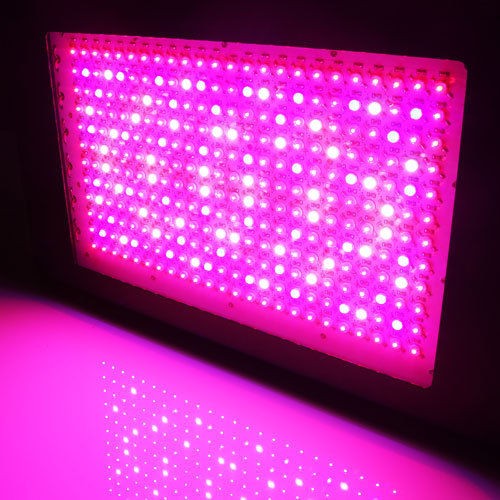 800W LED Grow Light 8 Band 3W Veg Flower LEDs Hydroponic Pro LED Grow 