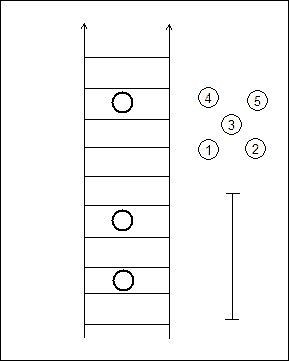   (NEW) Speed and Agility Ladder & Dot Drills VOL. 1 and 2 (SOC