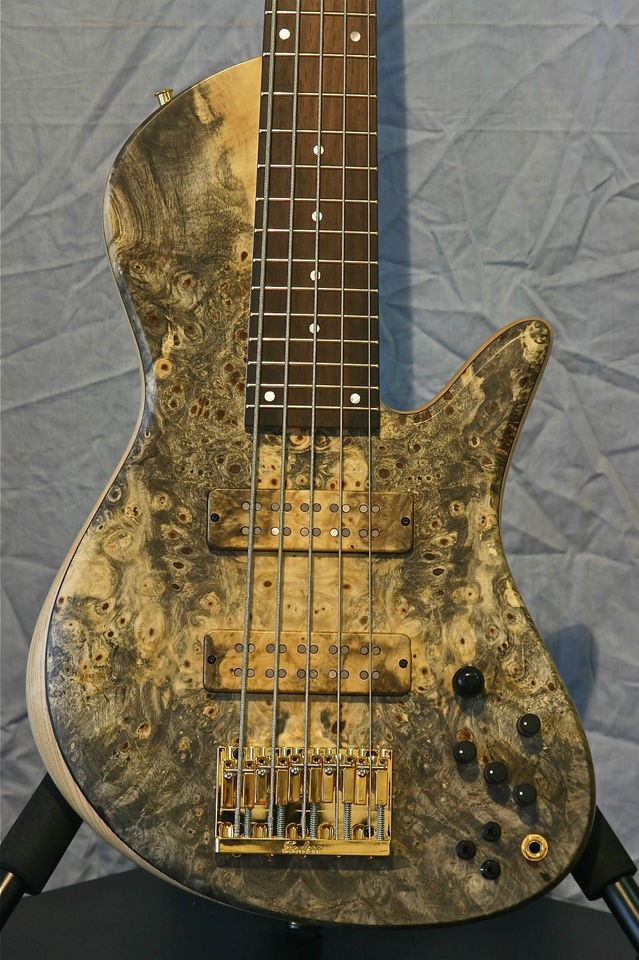 fodera bass in Bass