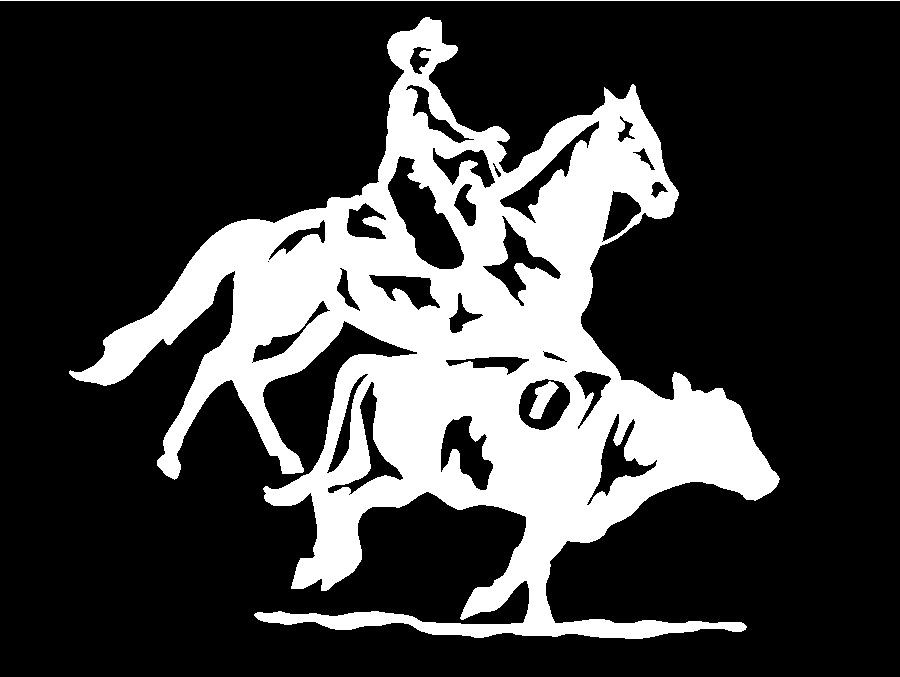   Rodeo Horse Trailer car truck window vinyl decal sticker graphic