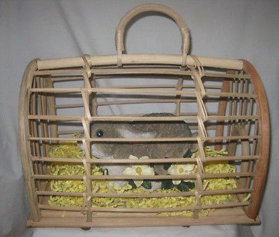 BUNNY RABBIT~IN PORTABLE WOOD CAGE