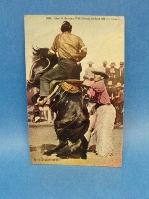 Postcard Wild Bronco First Rodeo Cowboy Chaps 1910