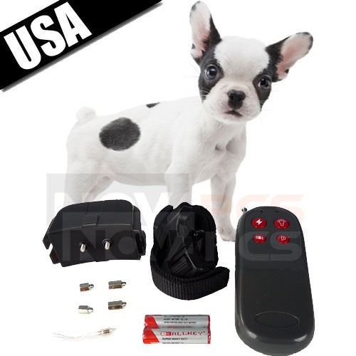 Pet Supplies  Dog Supplies  Training & Obedience  Shock Collars 