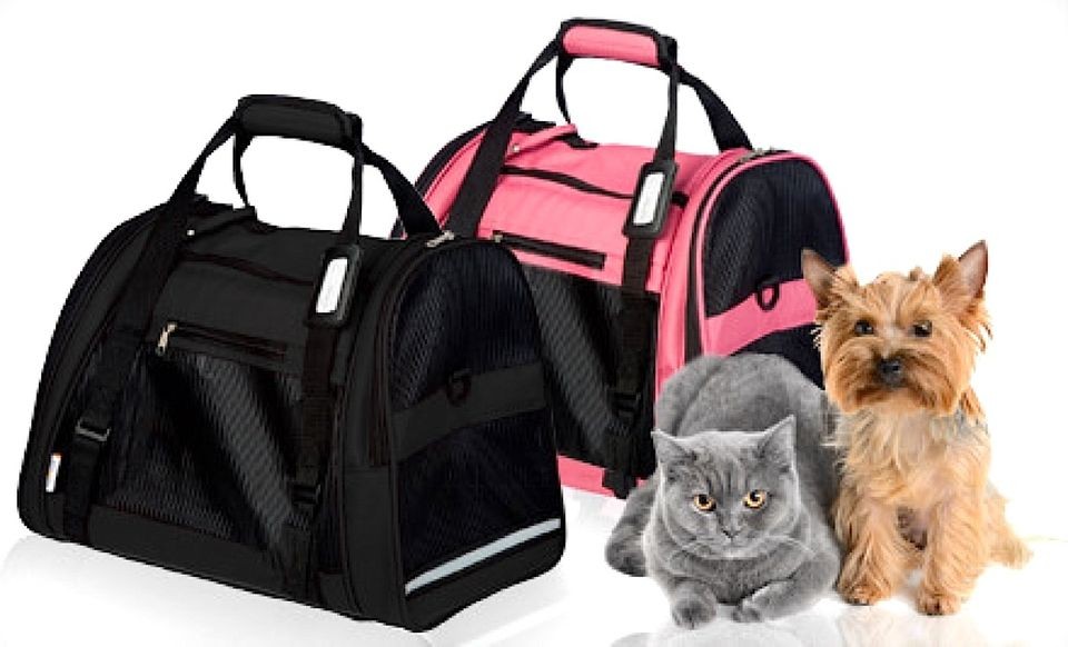 pet carrier in Carriers & Totes