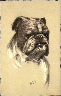 old english bulldog in Collectibles