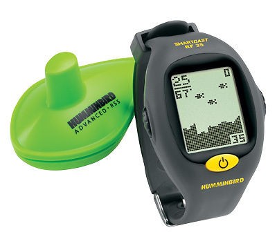 NEW, RAYTHEON, L470, FISHFINDER, VIDEO) in Fishfinders