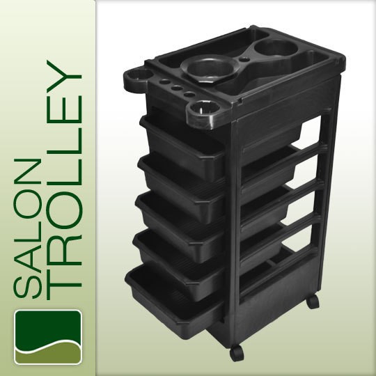 Salon SPA Trolley Storage Cart Coloring Beauty Salon Rollabout Hair 