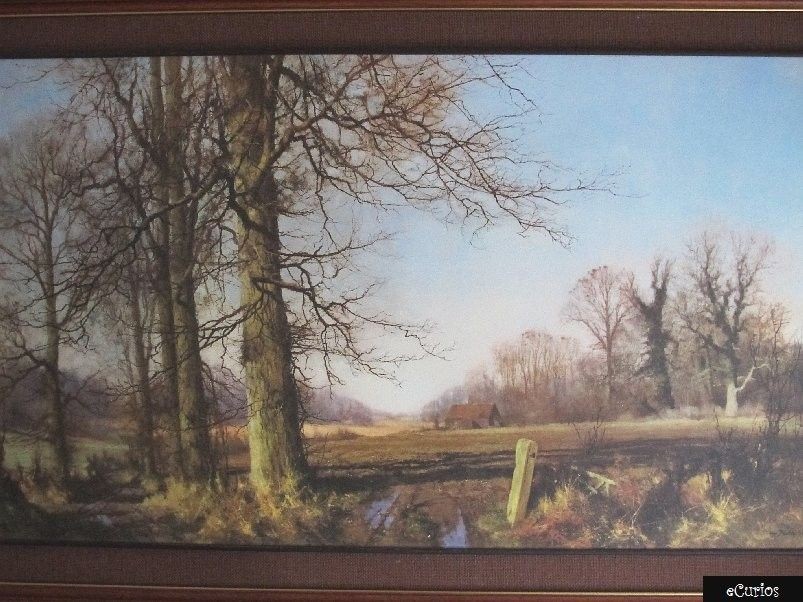 Framed & Mounted David Shepherd Landscape Print   Signed by the 