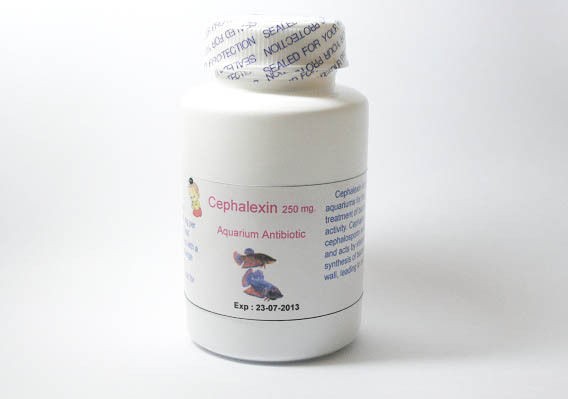 50 Count Cephalexin 250 mg Aquarium Fish Antibiotic 