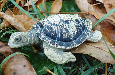 Latex only mini sea turtle plaster mold concrete mould