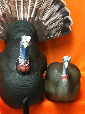   Peepn Tom & Pretty Penny Combo Full Strutting Tom & Hen Decoys Q5860