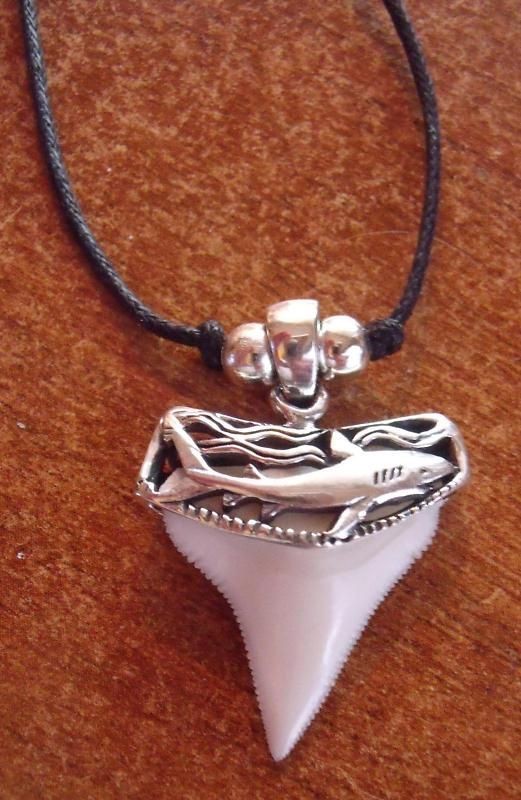 Brite White 3 Shark Tooth Teeth Pendant SILVER Necklace