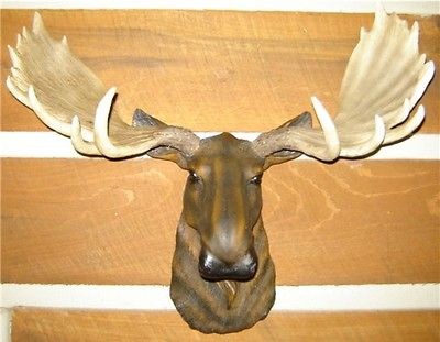 MOOSE HEAD LARGE WALL MOUNT LODGE CABIN LOG TAXIDERMY