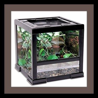 Reptology Ecosystem I glass reptile cage for reptiles and amphibians
