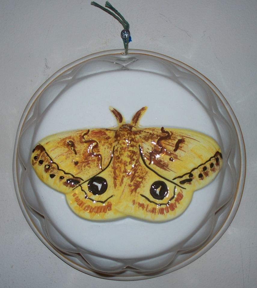 Ceramiche Bassano CERAMIC BUTTERFLY   Made in Italy   Ready to Hang