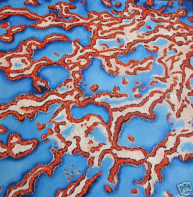 MODERN ART PAINTING barrier reef Australia Aboriginal Art