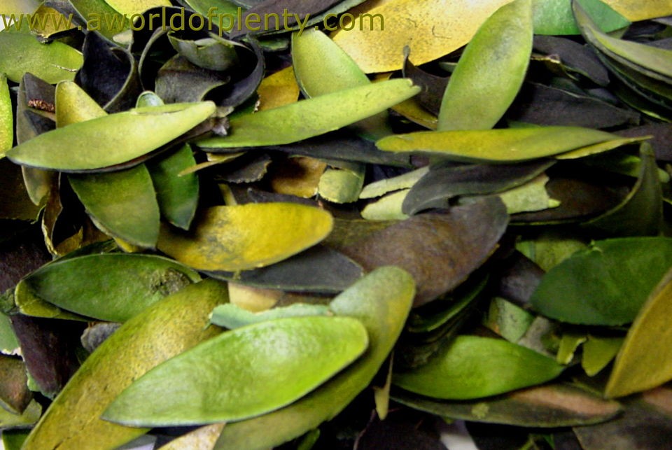 Lily Petals Dyed Lime Green   Potpourri Ingredients   Bowl Filler 