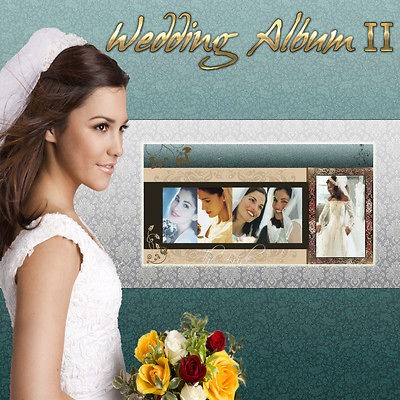 Digital Photography Backdrops Backgrounds Photoshop Wedding Album 