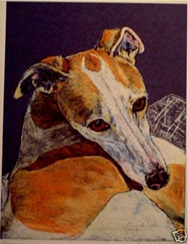 Print of Pastel of Whippet, lure coursing, racing CAC