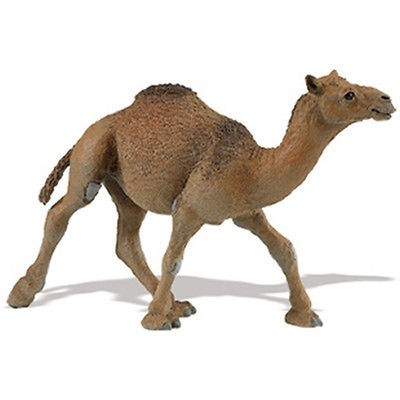 NEW DROMEDARY CAMEL Wild Safari Wildlife SAFARI LTD 222429