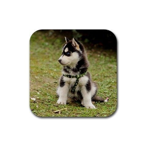 SIBERIAN HUSKY DOG PUPPY PUPPIES BEER DRINK COASTERS