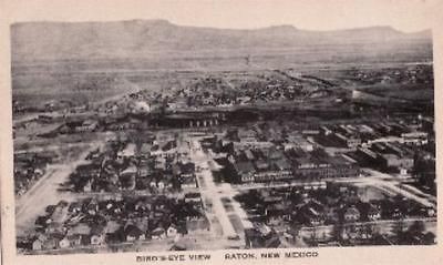 Birds Eye View RATON, NM Postcard