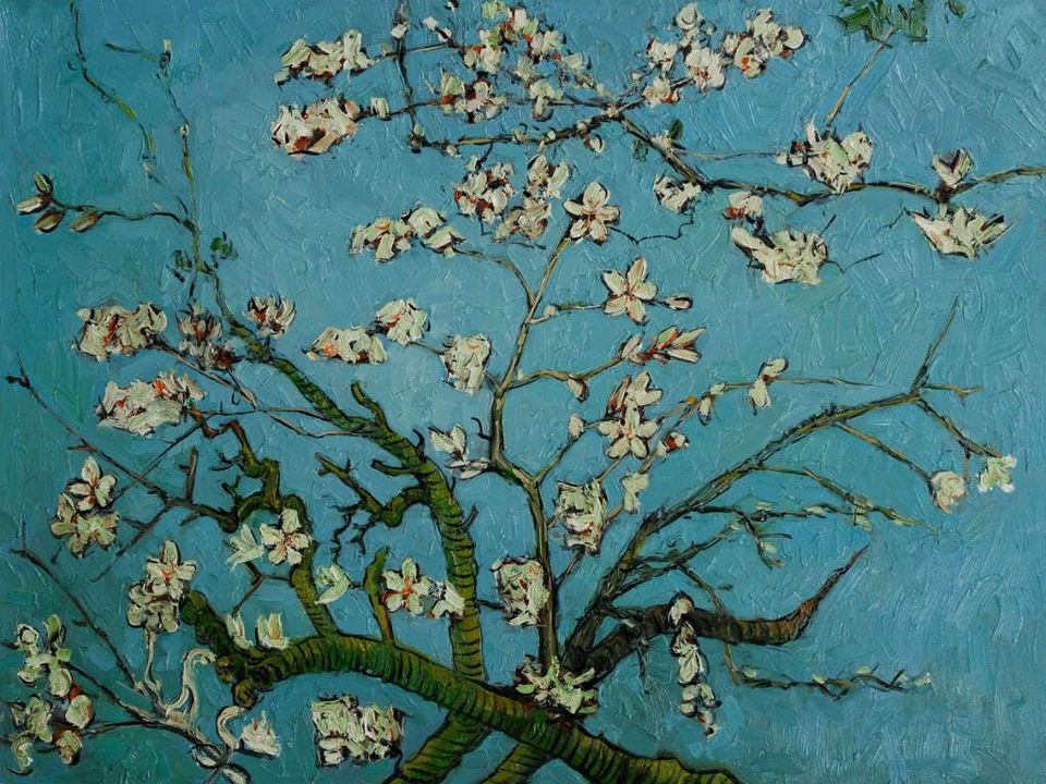 Van Gogh Branches of an Almond Tree in Blossom Abstract Art Oil 