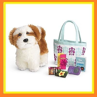 american girl kanani accessories in Accessories