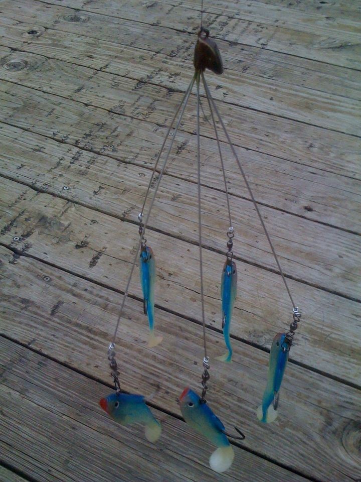 umbrella fishing rigs in Freshwater Fishing