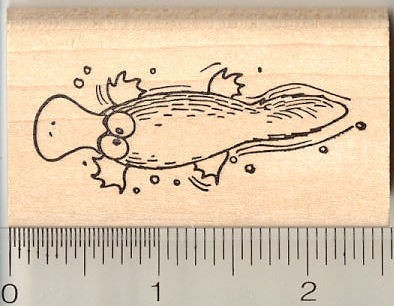 Funny Duck Billed Platypus rubber stamp G11513 WM