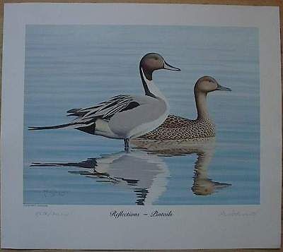   Pi​ntails, Hand Signed, Numbered R.L. Kothenbeutel Print 1985, Ducks