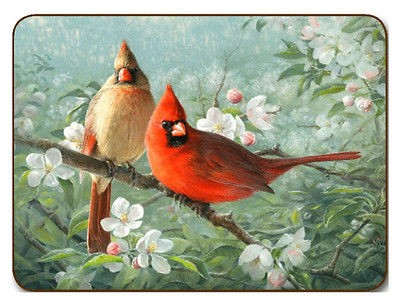 JASON Set of 4 Garden Birds Large Placemats   Cork Backed & Heat 