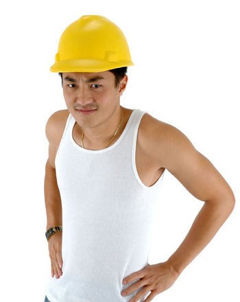 novelty hard hats