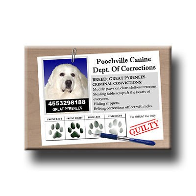 GREAT PYRENEES Rap Sheet FRIDGE MAGNET New DOG Funny