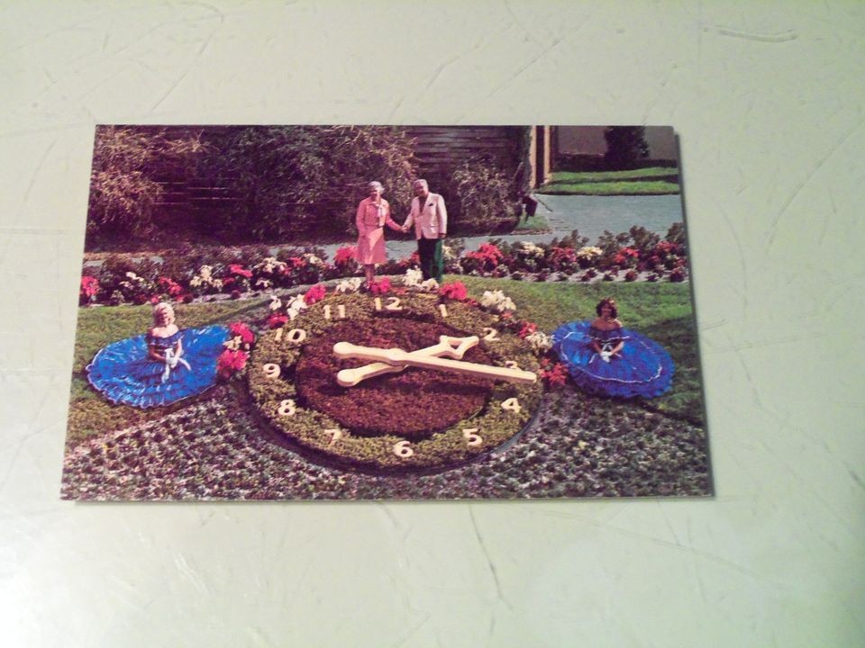 Vintage Cypress Gardens FL Florida Floral Clock PC Postcard